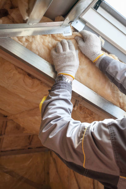 Best Insulation Air Sealing  in Amsterdam, NY